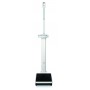 Cantar medical digital Seca 799