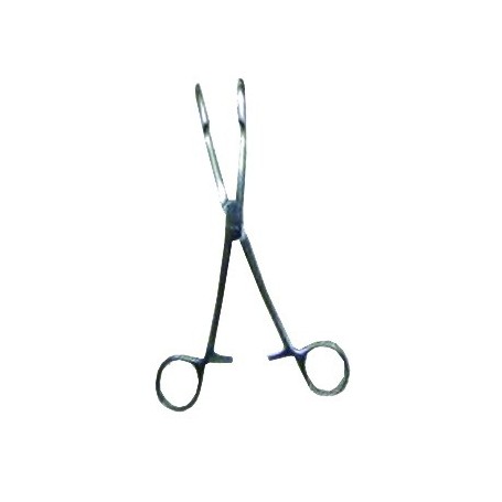 Pensa prins polipi, 25 cm