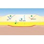 Pansament cu hidrocoloid  Suprasorb H thin,10x10 cm (10 buc./pach.)                                 