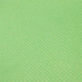 Cearsaf din material netesut, 200x80 cm, verde